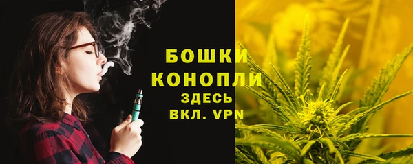 твердый Елизово