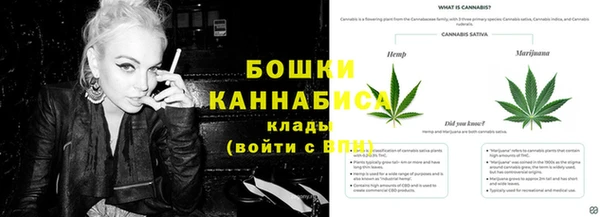 ПСИЛОЦИБИНОВЫЕ ГРИБЫ Елабуга
