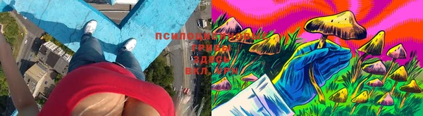 ПСИЛОЦИБИНОВЫЕ ГРИБЫ Елабуга