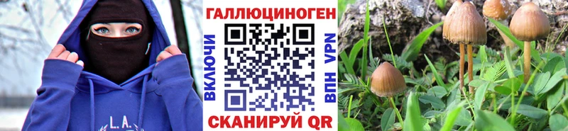 Псилоцибиновые грибы мухоморы  Купить закладки  Павловская 